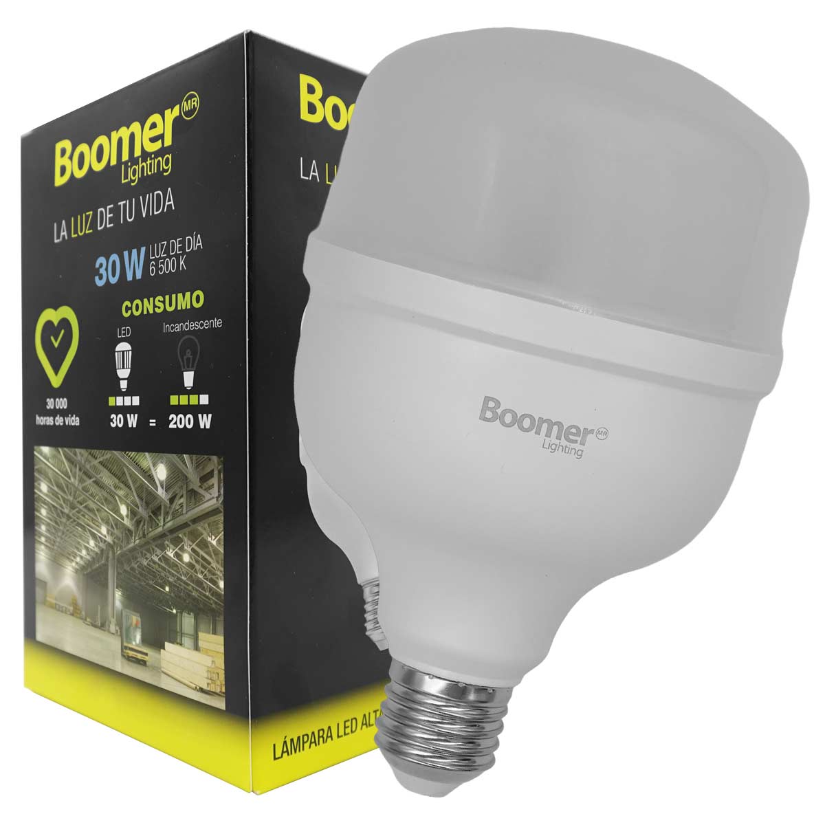 Lampara Led Alta Potencia 30W Luz De Dia 2700lm 6500K