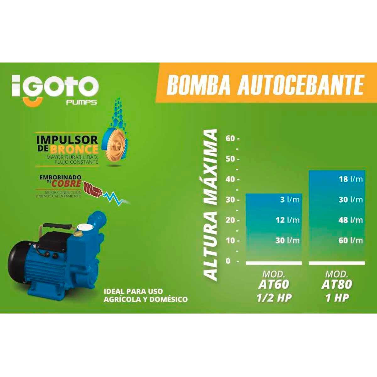 Bomba Periferica Autocebante 1 Hp Domestico Agricola Igoto