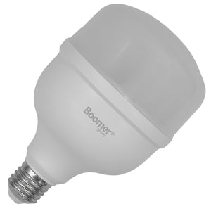 Lampara Led Alta Potencia 30W Luz De Dia 2700lm 6500K