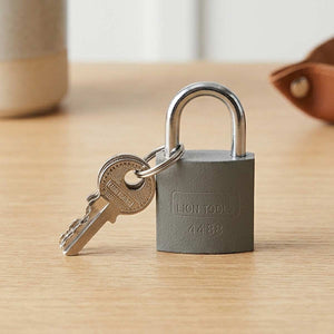 Candado De Hierro 20mm Gancho Corto Seguridad 3 Llaves