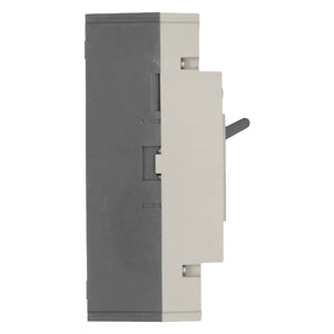 Interruptor Termomagnetico Caja Moldeada NM1 3 Polos 250A Chint CHINT Ferreabasto