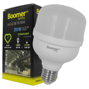 Lampara Led De Alta Potencia 20W Luz De Dia 1800lm 6500K