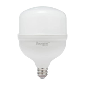 Lampara Led De Alta Potencia 20W Luz De Dia 1800lm 6500K