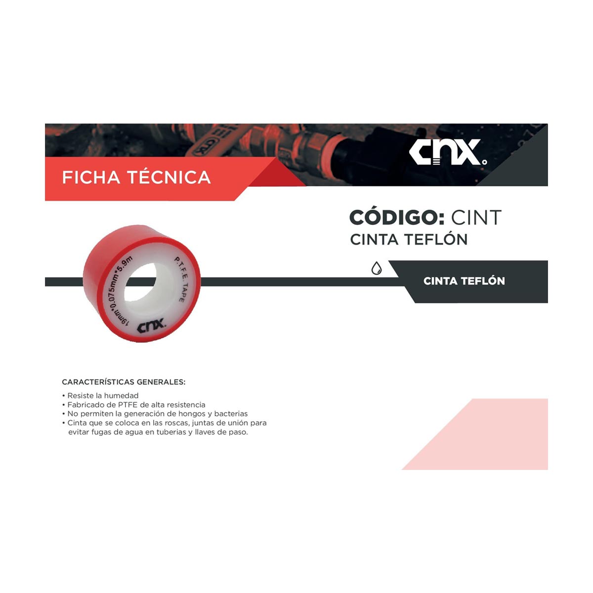 cint13 6m foto ficha tecnica