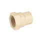 Adaptador Conector Hembra Cpvc Con Empaque 3/4 Cnx 10 Piezas CNX Ferreabasto
