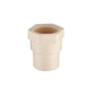 Adaptador Conector Hembra Cpvc Con Empaque 3/4 Cnx 10 Piezas CNX Ferreabasto