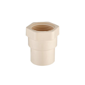 Adaptador Conector Hembra Cpvc Con Empaque 3/4 Cnx 10 Piezas CNX Ferreabasto