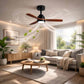 Ventilador De Techo Decorativo 52 Pulgadas Biena 35W Con Luz 3 Aspas Igoto