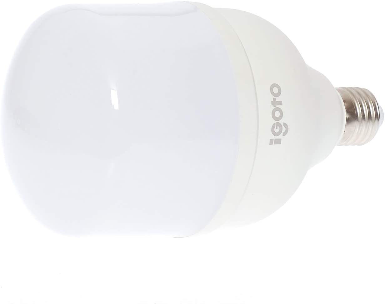 Foco Led T100 30w Luz Dia 500a 2700lm Igoto