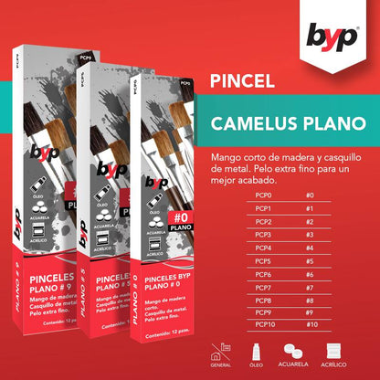 Pack 12 Pinceles Camelus Plano 