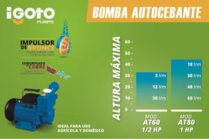 Bomba Periferica Autocebante 1 Hp Succiona En Red Igoto IGOTO PUMPS Ferreabasto